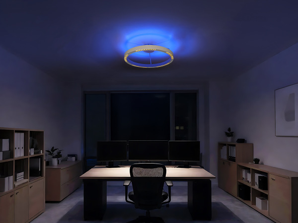 LINIA ceiling luminaire 660 - 10010 1