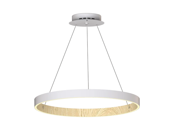 PATRIOT 650 Pendant Light - V10226 5