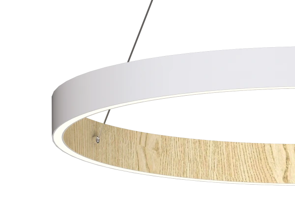 PATRIOT 650 Pendant Light - V10226 6