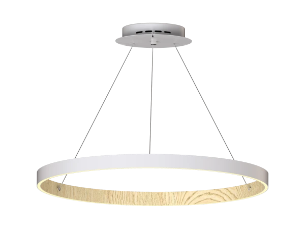 PATRIOT 850 pendant light - V10227 5