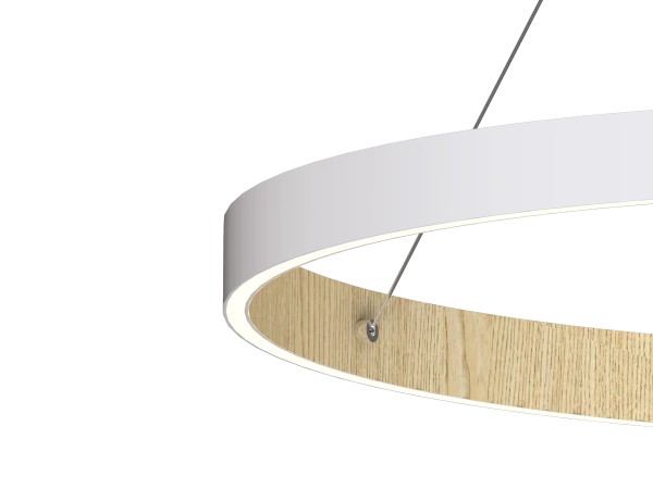 PATRIOT 850 pendant light - V10227 6