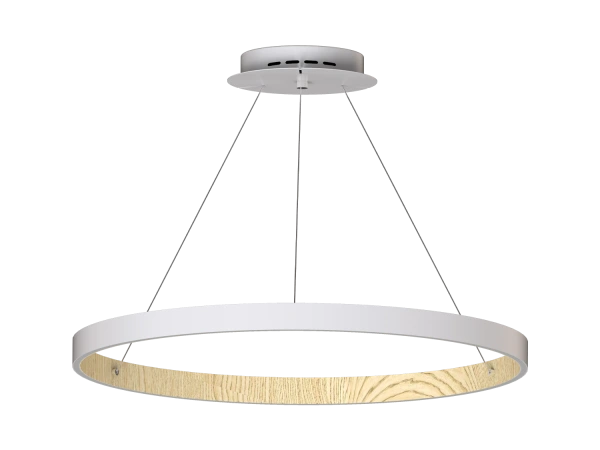 PATRIOT 850 pendant light - V10227