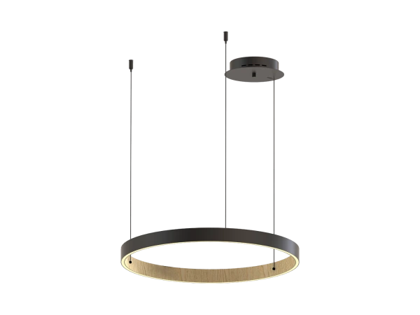 PATRIOT 650 pendant light - V10233 9