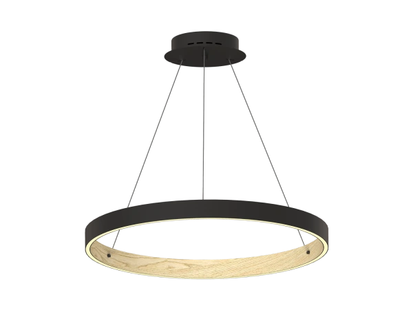 PATRIOT 650 pendant light - V10233 8