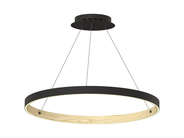 PATRIOT 850 pendant light - V10234 8