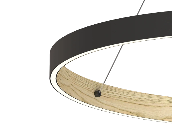 PATRIOT 850 pendant light - V10234 12