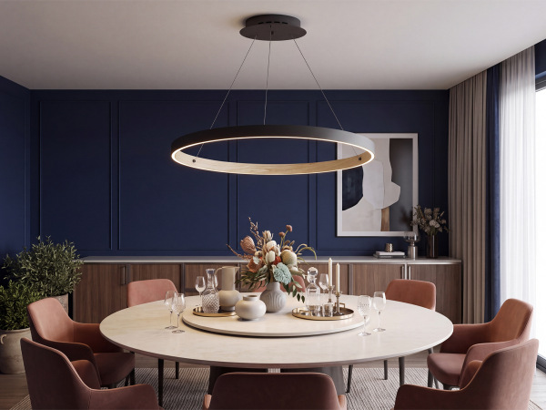 PATRIOT 850 pendant light - V10234 3
