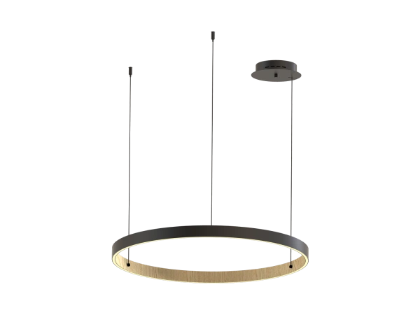 PATRIOT 850 pendant light - V10234 10